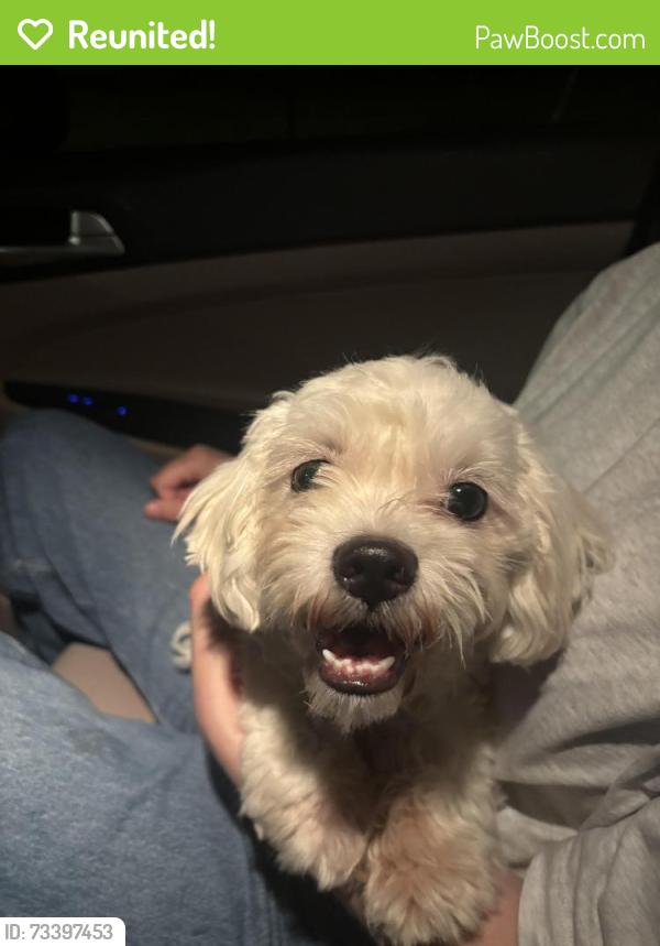 Reunited Male Dog last seen The Parkway near Telegraph, Alexandria, VA 22310