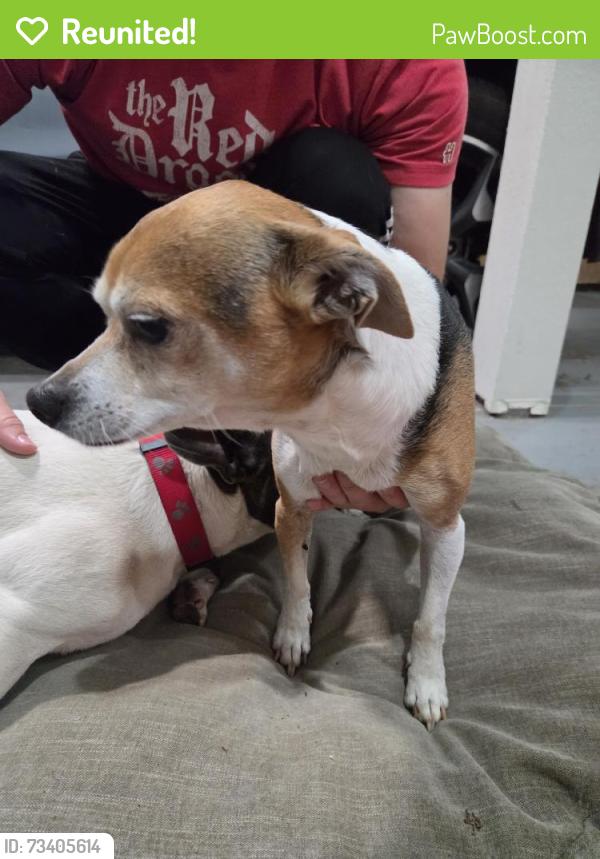 Reunited Male Dog last seen Near Glen Creek Rd NW, Salem, OR 97304, USA, Salem, OR 97304