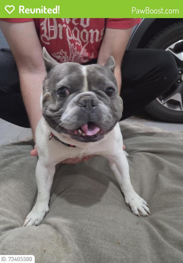 Reunited Male Dog last seen Near Glen Creek Rd NW, Salem, OR 97304, USA, Salem, OR 97304