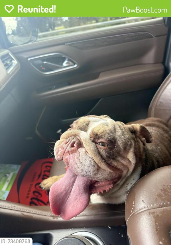 Reunited Female Dog last seen M st, Rio Linda, CA 95673
