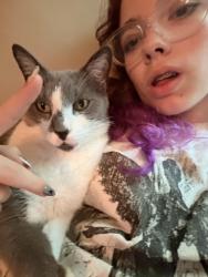 Lost Male Cat last seen The Scrap yard, Grit hse, Cleveland, TN 37311