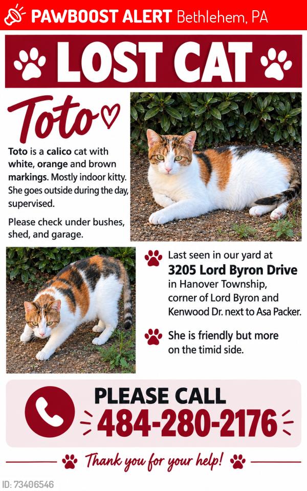 Lost Female Cat last seen Kenwood drive, Bethlehem, PA 18017