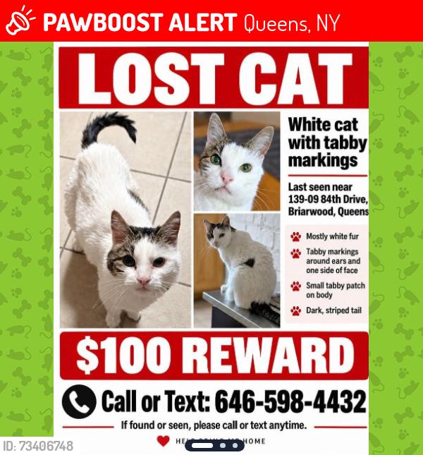 Lost Female Cat last seen 84th drive and burden crescent, Queens, NY 11435