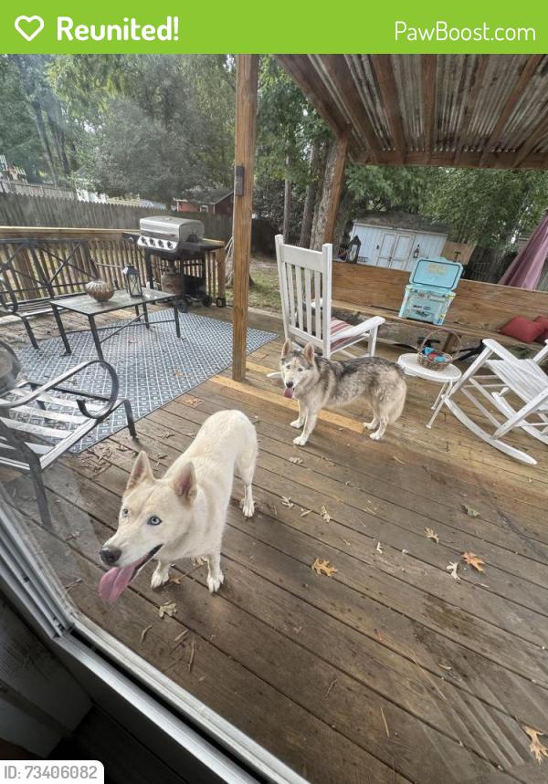 Reunited Female Dog last seen They are in my fenced in back yard!, Glen Allen, VA 23060