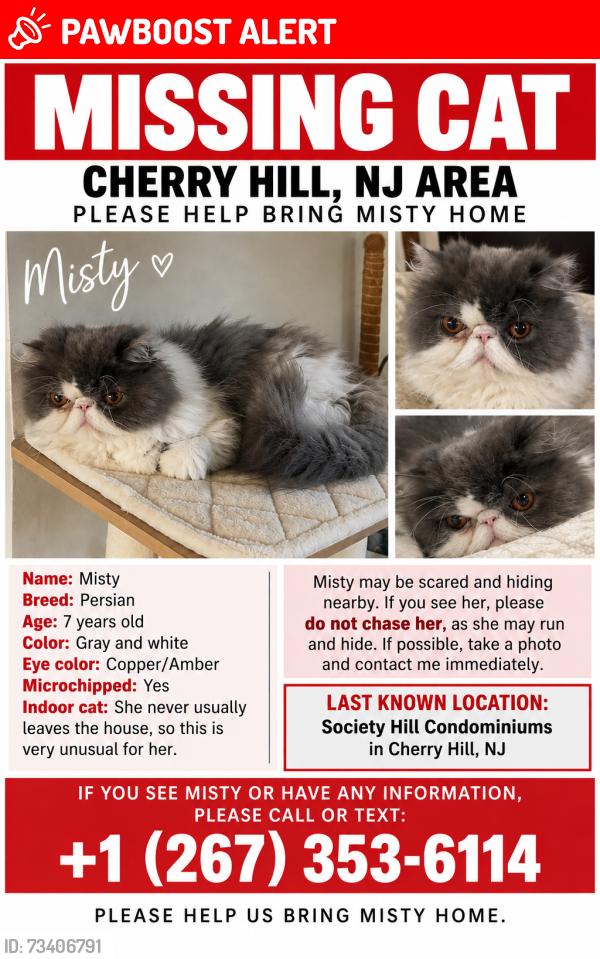Lost Female Cat last seen Society Hill cndmnium, Cherry Hill Township, NJ 08003