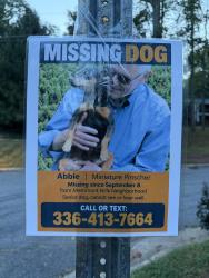 Lost Female Dog last seen Turkey Hill Ct in Merrimont Hills, Winston-Salem, NC 27106