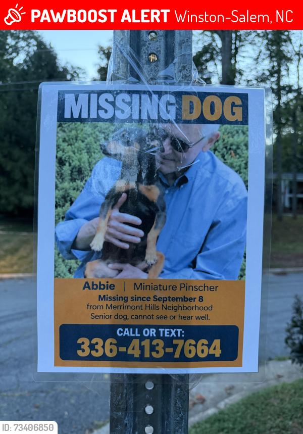 Lost Female Dog last seen Turkey Hill Ct in Merrimont Hills, Winston-Salem, NC 27106
