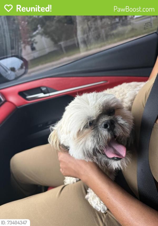 Reunited Male Dog last seen Indian River rd and providence, Virginia Beach, VA 23464