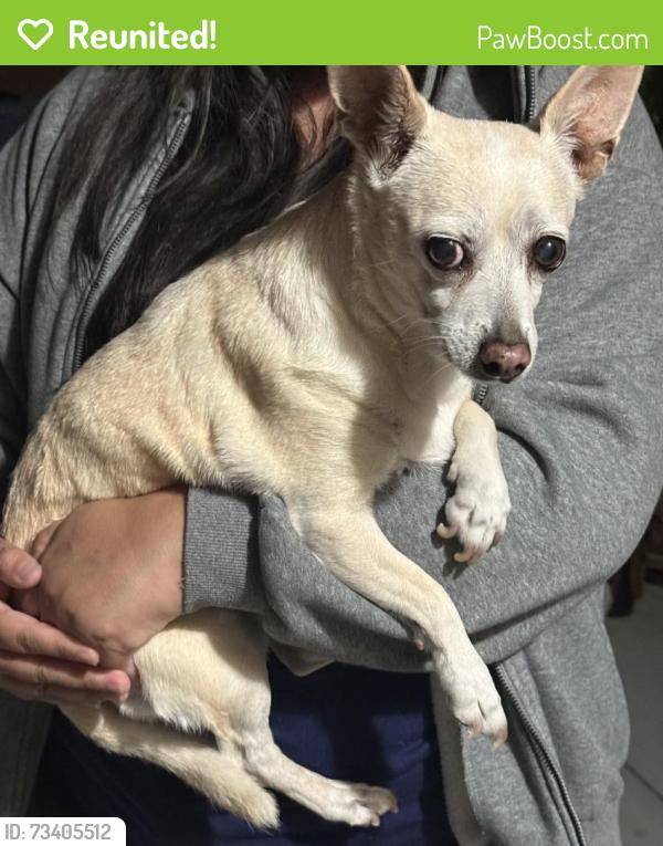 Reunited Female Dog last seen Evans Rd x Ballesteros St, Perris, CA 92571