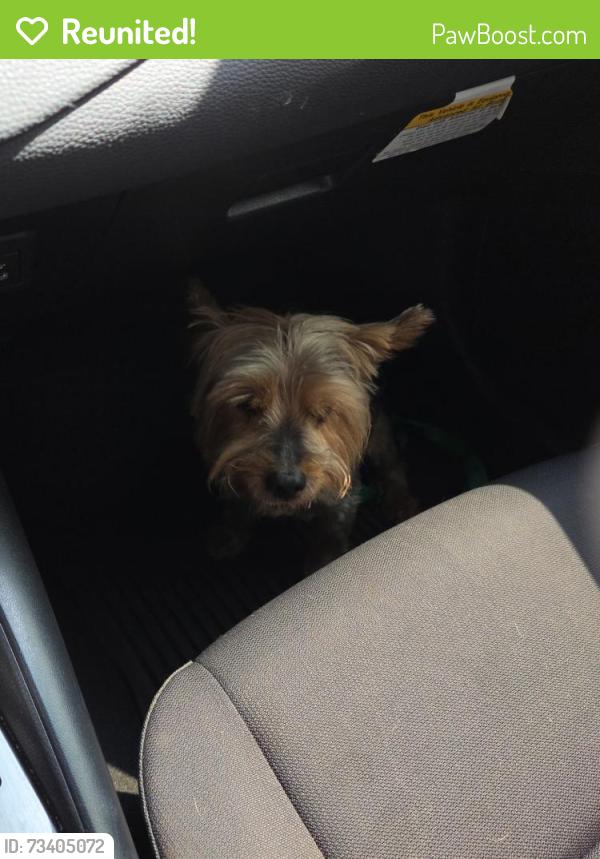Reunited Male Dog last seen Walnut village, Fontana, CA 92336
