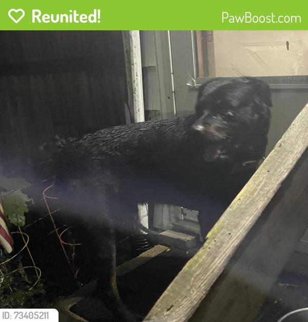 Reunited Male Dog last seen Delavan Dr. & Marston Rd., Columbus, OH 43219