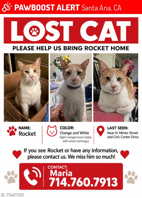 Lost Male Cat last seen Minter and civic center, Santa Ana, CA 92701