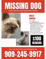 Reunited Male Dog last seen San Bernardino, CA, USA, San Bernardino, CA 92401