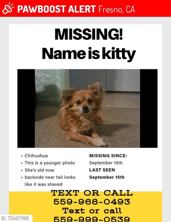 Lost Female Dog last seen First and sierra, Fresno, CA 93710