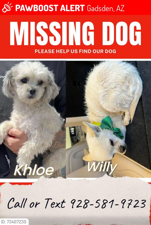 Lost Male Dog last seen juan sanchez and 7th avenue in san luis az, Gadsden, AZ 85336