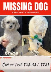 Lost Male Dog last seen juan sanchez and 7th avenue in san luis az, Gadsden, AZ 85336