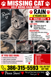 Lost Male Cat last seen Near evergreen trail, Rogers, MN 55374