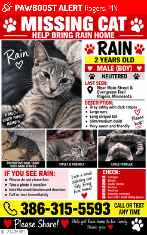 Lost Male Cat last seen Near evergreen trail, Rogers, MN 55374