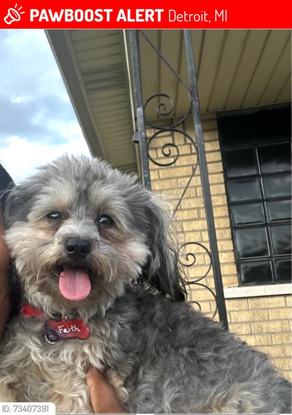 Lost Female Dog last seen Linwood st baseball field, Detroit, MI 48206