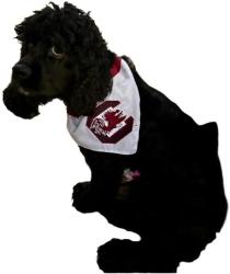 Lost Male Dog last seen MLK Park where Greene and Heidt St intersect, thought to have gone up Greene St, Columbia, SC 29205