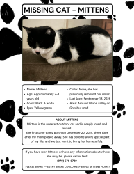 Lost Female Cat last seen Shirley rd, Scasta, Grassbur rd, Bryan, TX 77808