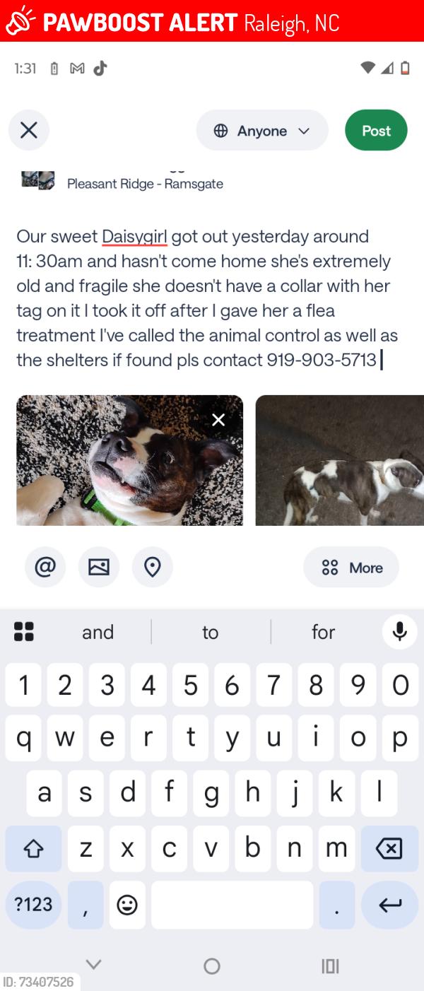 Lost Female Dog last seen Goshhawk, Raleigh, NC 27603