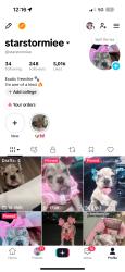 Lost Female Dog last seen Near park, Las Vegas, NV 89108