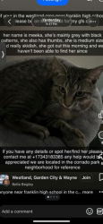 Lost  Cat last seen Near Hugh St, Westland, MI 48185, USA, Westland, MI 48185