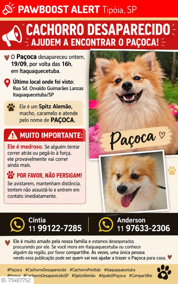 Lost Male Dog last seen Rua SD Osvaldo Guimarães Lanzas, Tipóia, SP 