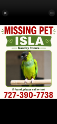 Lost Unknown Bird last seen Park Blvd near the old wagon wheel, Seminole, FL 33777