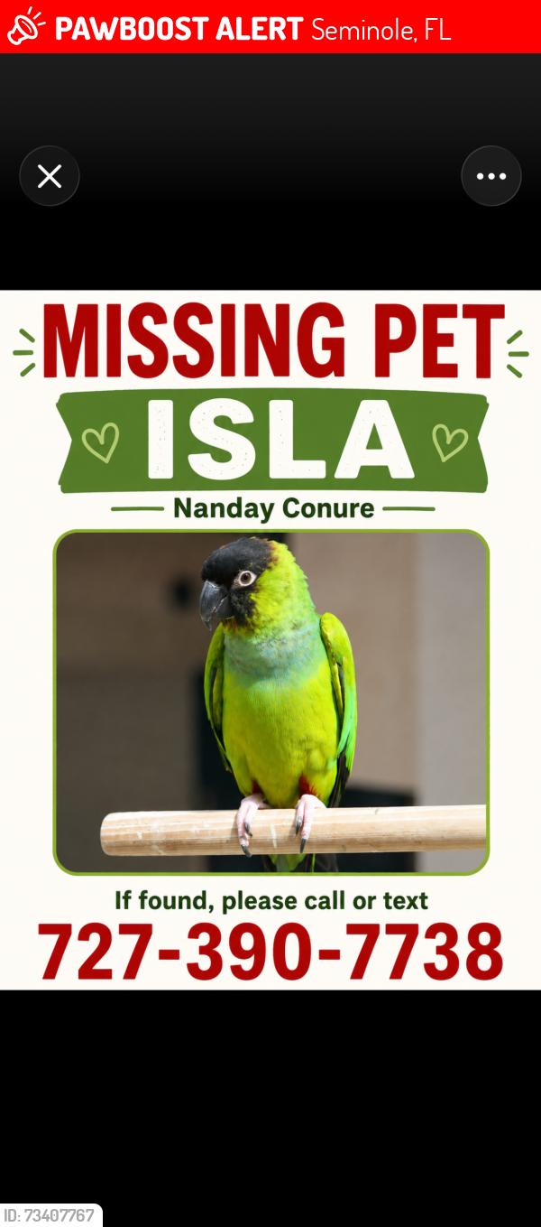 Lost Unknown Bird last seen Park Blvd near the old wagon wheel, Seminole, FL 33777