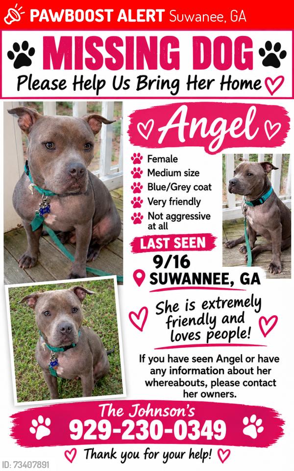 Lost Female Dog last seen Dean st, Suwanee, GA 30024