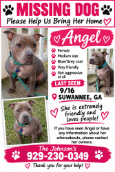 Lost Female Dog last seen Dean st, Suwanee, GA 30024
