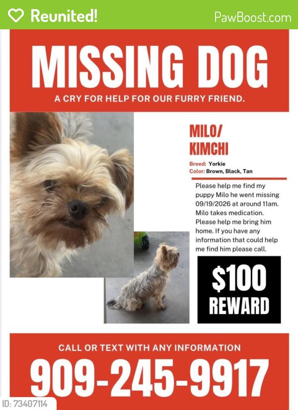 Reunited Male Dog last seen San Bernardino, CA, USA, San Bernardino, CA 92401