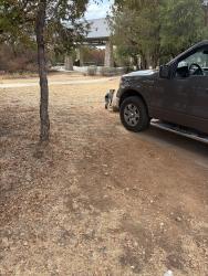 Found/Stray Unknown Dog last seen Eagle Mountain Park 76179, Fort Worth, TX 76179