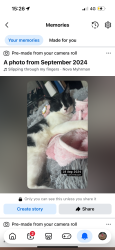 Lost Male Cat last seen Glasier road, Twynyrodyn, Wales CF47 0PP