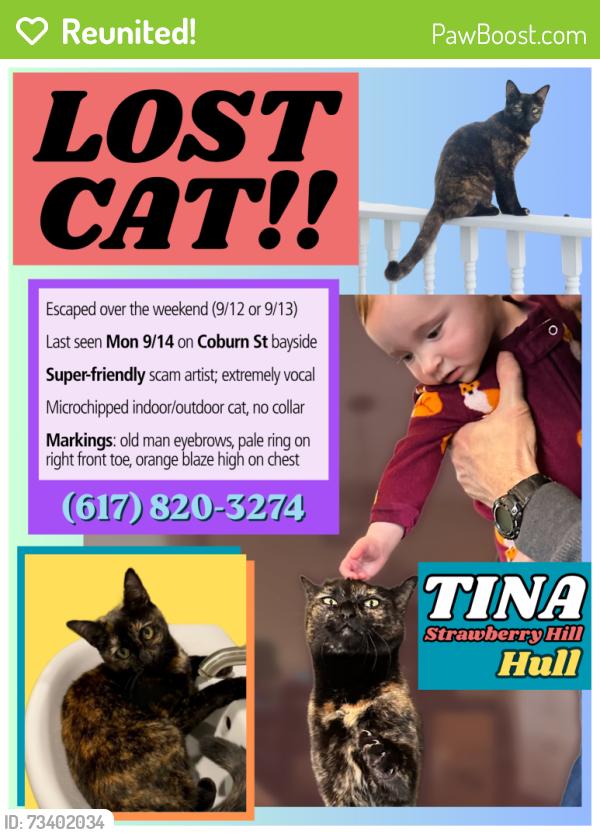 Reunited Female Cat last seen Coburn St between Prospect and Kingsley, Hull, MA 02045