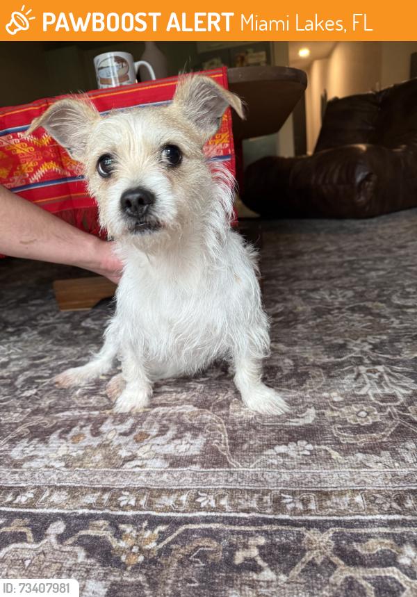 Found/Stray Male Dog last seen Natura Gardens, Miami Lakes, FL 33018