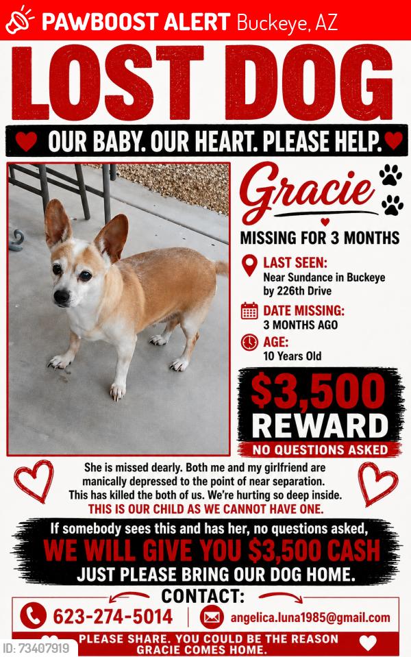 Lost Female Dog last seen Near s 226th dr SUNDANCE BUCKEYE AZ, Buckeye, AZ 85326