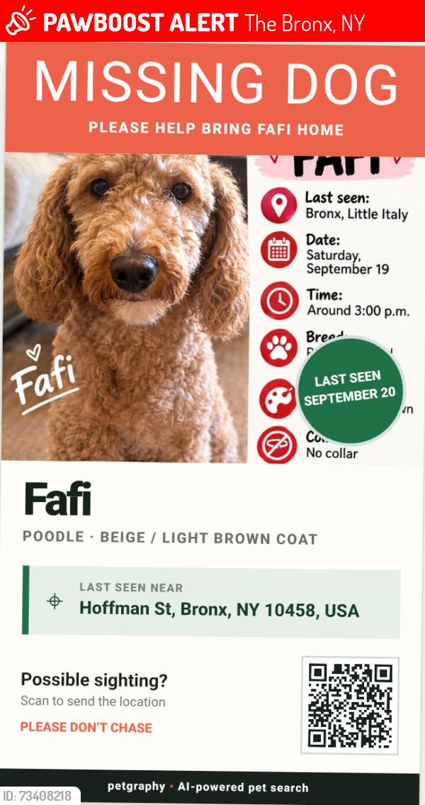 Lost Female Dog last seen Lorillard pl, The Bronx, NY 10458
