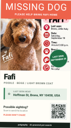 Lost Female Dog last seen Lorillard pl, The Bronx, NY 10458