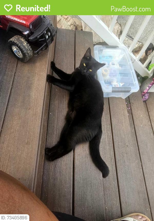 Reunited Female Cat last seen 172nd street, Granite Falls, WA 98252