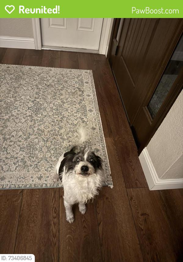 Reunited Male Dog last seen Trajan, Orangevale, CA 95662