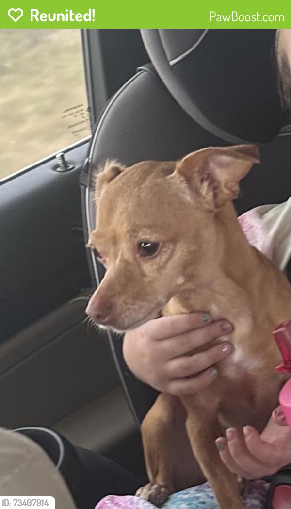 Reunited Female Dog last seen Bethel Church rd, Stafford County, VA 22405