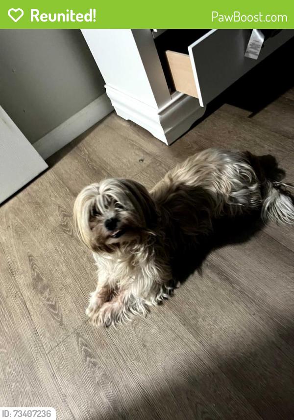 Reunited Female Dog last seen E 49th St, San Bernardino, CA, USA, San Bernardino, CA 92404