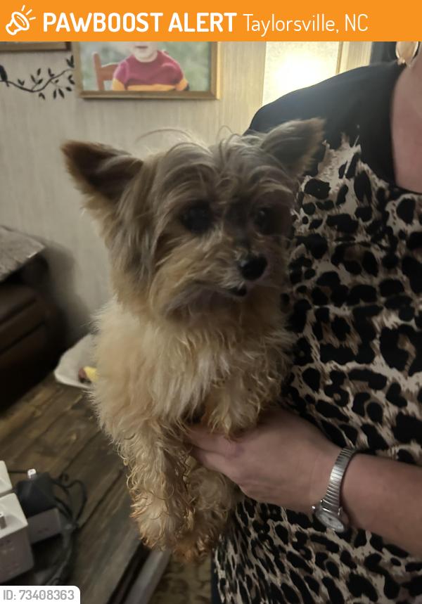 Found/Stray Male Dog last seen Corner of 64/90 and Brush Mtn Rd. Lenoir. Oak HillCommunity, Taylorsville, NC 28681