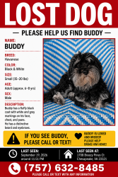 Reunited Male Dog last seen Near Breezy Pines Ct Chesapeake, VA 23321, Chesapeake, VA 23321
