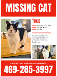 Lost Male Cat last seen Charlie’s, Ennis, TX 75119