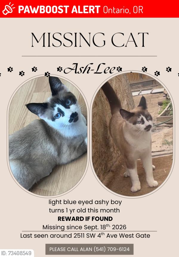 Lost Male Cat last seen Across the street from Grocery Outlet, Ontario, OR 97914