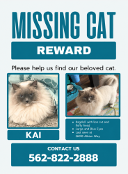 Reunited Male Cat last seen Soledad canyon, Santa Clarita, CA 91351